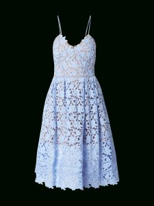 15 Wunderbar Kleid Spitze Hellblau DesignAbend Luxurius Kleid Spitze Hellblau Galerie