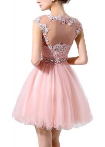 Formal Großartig Kleid Rosa Spitze Design10 Einfach Kleid Rosa Spitze Design