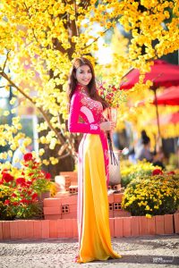 Ao Dai | Traditionelle Kleidung