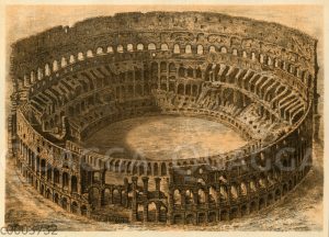 Colosseum  Quagga Illustrations