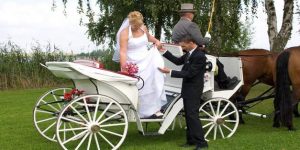 Hochzeitskutsche Ihren Fiaker Für Die Trauung Mieten