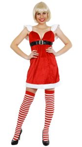 Mrs Claus Women's Fancy Dress Costume  Christmas Outfits