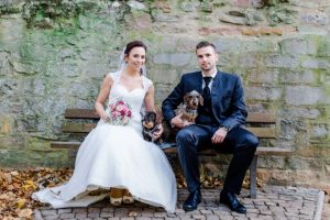 So Klappt Es Mit Dem Hund Bei Der Hochzeit  Hochzeit